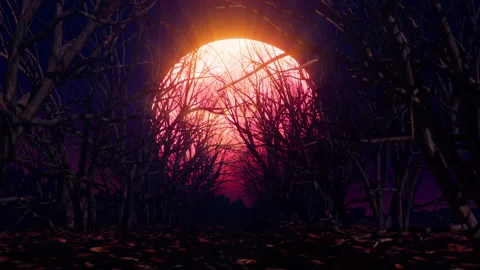 The Red Moon Night 01 4K Video stock 219016639