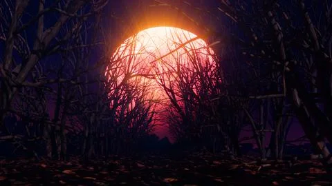 The Red Moon Night 03 Stock Illustration