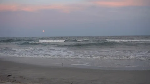 Red Moon Over Sea Stock Footage 98909492