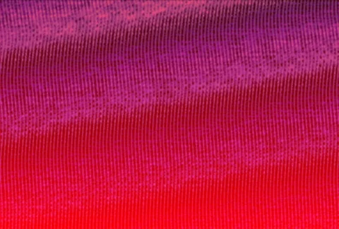 Red motion background XM3033b Stock Footage 417810