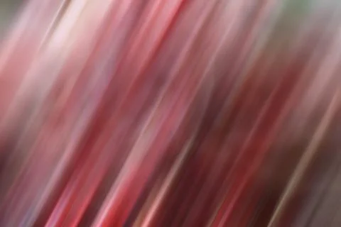 Red motion blur Abstract blurred background Stock Photos