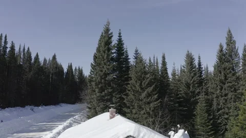 Red Mountain Cabin in the Woods winter snow front shot moving out Video stock 145928131