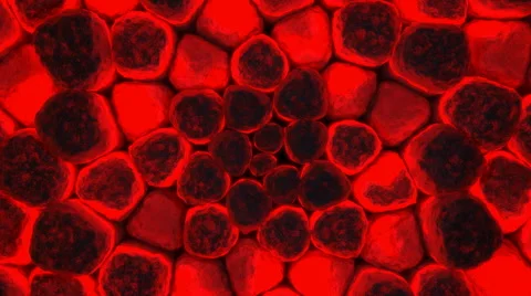 Red moving cells. Stock Footage 46686653