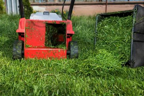 Red mower and container full of cutted grass Stock Photos