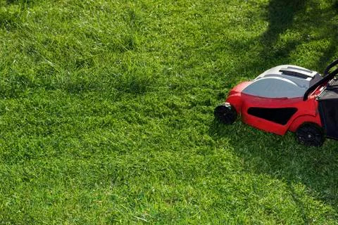 Red mower in a lawn Stock Photos