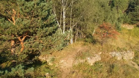 Red mtb rider drops from a small rock Stock Footage 83712174