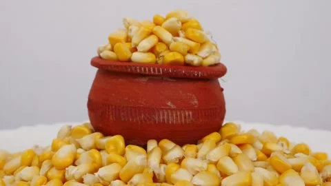 Red mud glass placed on heap of corn seeds Vidéo 148217364