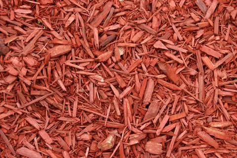 Red Mulch Stock Photos