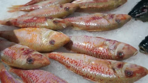Red mullet on ice on a store counter. Fresh fish. Seafood. Stock Footage 294395839