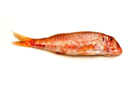 Red mullet Stock Photos