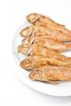 Red mullet Stock Photos