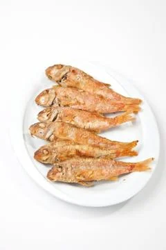 Red mullet Stock Photos