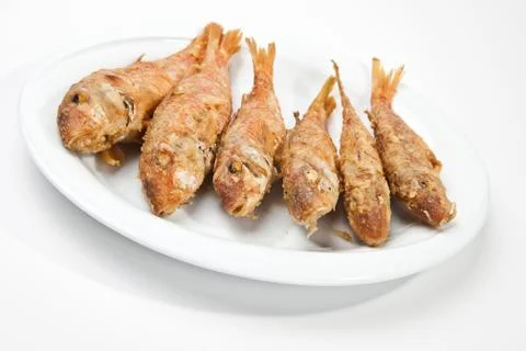 Red mullet Foto stock