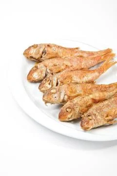Red mullet Stock Photos