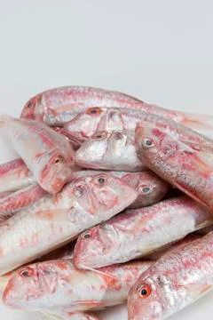 Red mullets.. Stock Photos