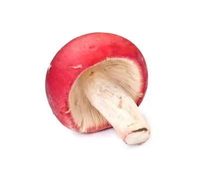 Red mushroom Stock Photos