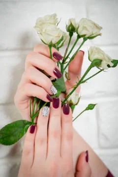 Red nails, shell on the nail, manicure Stock Photos