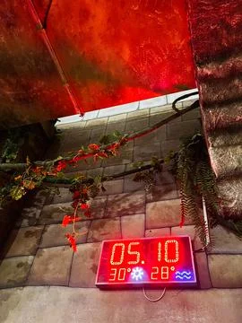 Red Neon Clock Display on Stone Wall With Vines and Warm Ambient Lighting Stock Photos