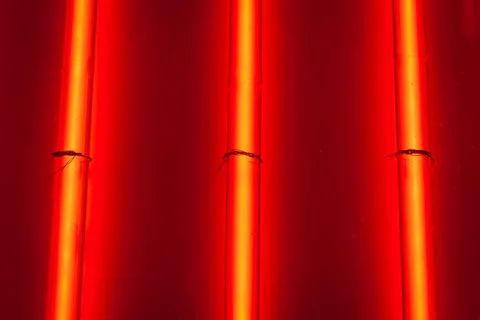 Red neon Foto stock
