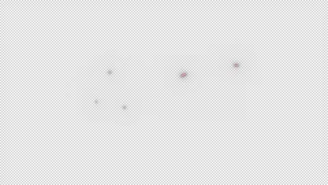 Red Neon Speech Bubble Star and Slash Symbols Stock Footage 320560689