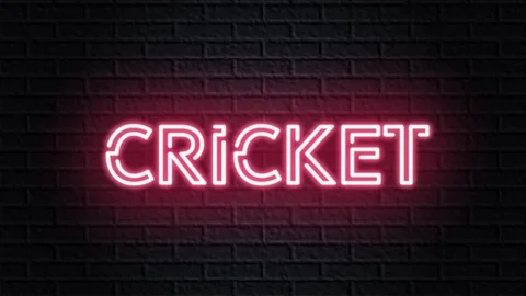 Download Cricket Hitter 4K Wallpaper | Wallpapers.com