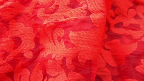 Red net cloth with floral pattern embroidery Stock Footage 149113736