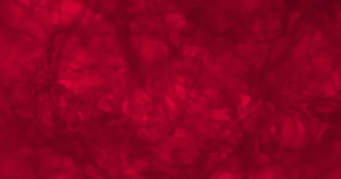 Red net under a microscope. Thriller linen netting with floating germs  Stock Footage 199226219