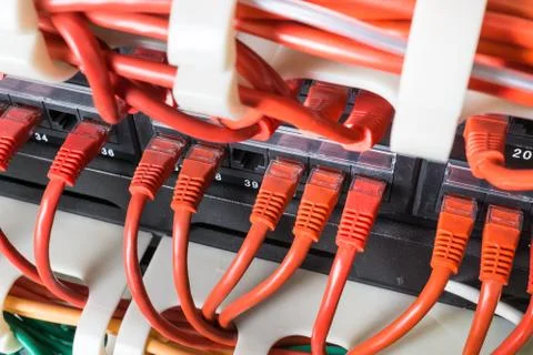 Red network cables connected to switch Stock Photos
