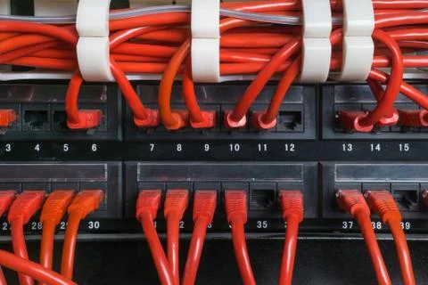 Red network cables connected to switch Stock Photos