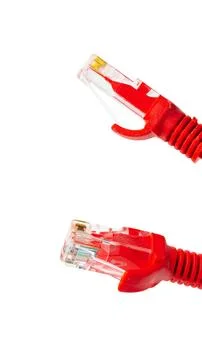 Red network cables ready for connections in a technology setup at an office Stock Photos
