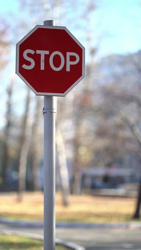 A red octagonal STOP sign on a gray pole with blurred autumn trees, road and 스톡 동영상 348431460