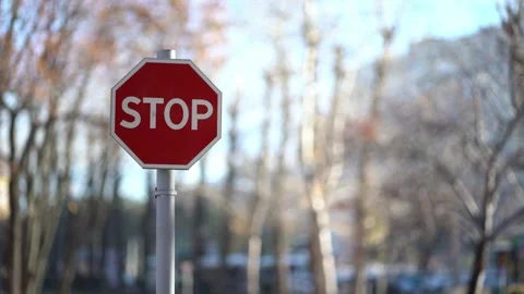 Red octagonal stop sign on a metal pole against blurred autumn trees and a clear Video stock 348431464