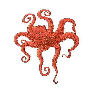 Red octopus swimming underwater in dramatic pose Illustrazione stock