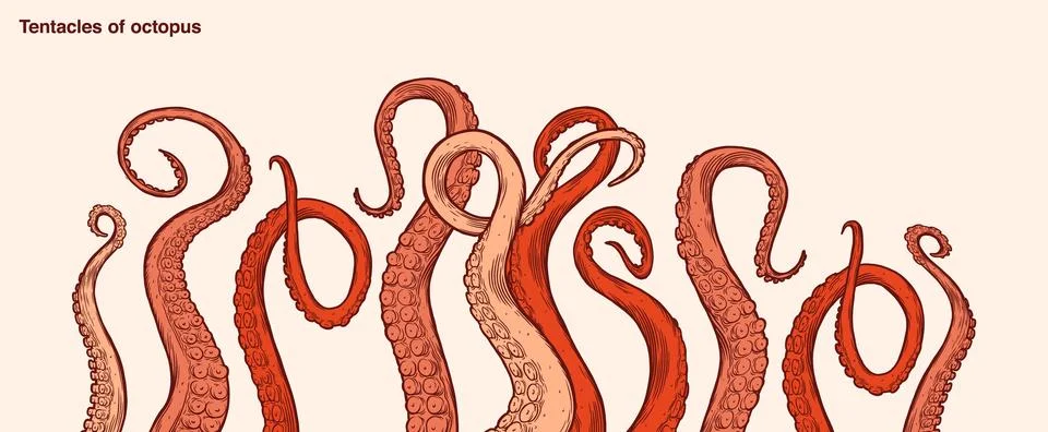 Red octopus tentacles Stock Illustration
