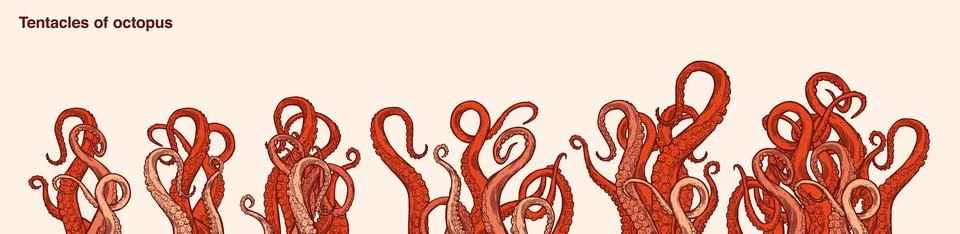 Red octopus tentacles 스톡 일러스트