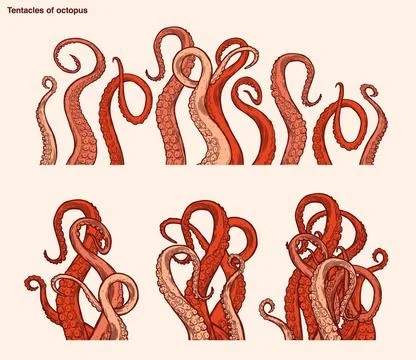 Red octopus tentacles Stock Illustration