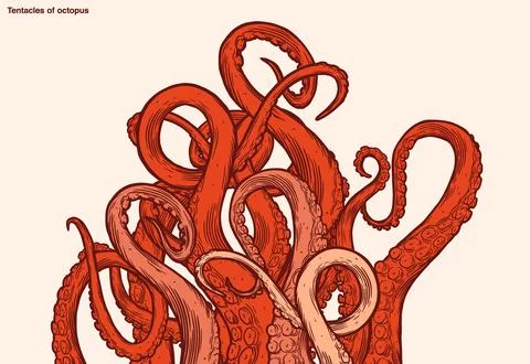 Red octopus tentacles Stock Illustration
