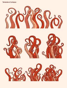 Red octopus tentacles Stock Illustration
