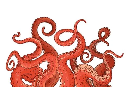 Red octopus tentacles reaching upwards Stock Illustration