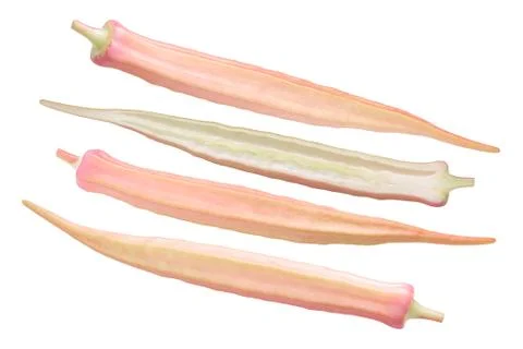 Red okra ochro a. esculentus 스톡 사진