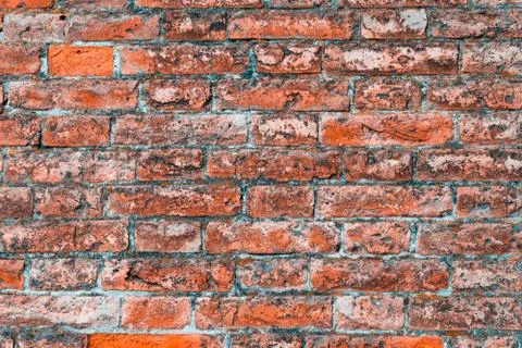 Red old brick wall texture  background with. 스톡 사진