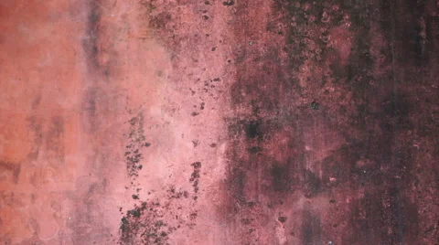 Red old mold wall texture background Vídeos de archivo 63926252
