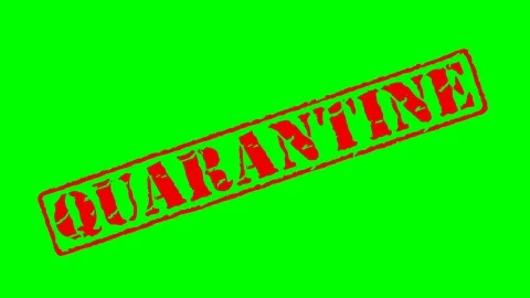 Red old stamp text quarantine animation green screen Stock Footage 128990272