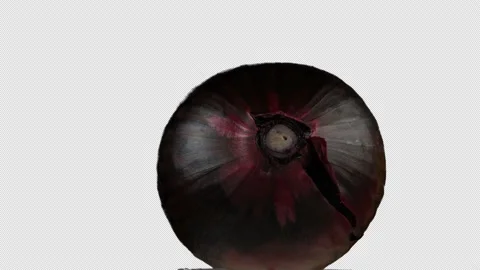 Red onion (alpha channel) Video stock 235009996