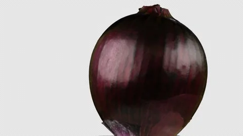 Red Onion (alpha channel) Video stock 235010348