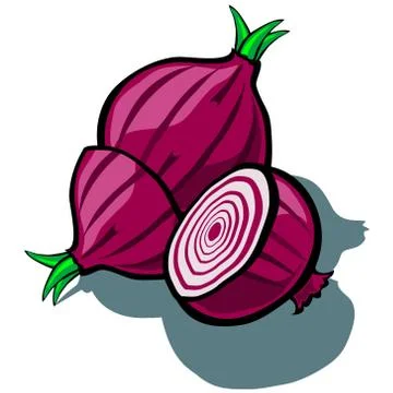 Red Onion and Slice Illustrazione stock