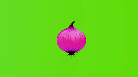 Red onion on the background of a green screen in a color scheme, Stock Footage 284242313