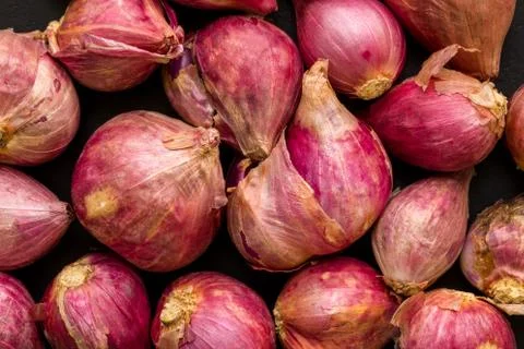 Red Onion Background Stock Photos