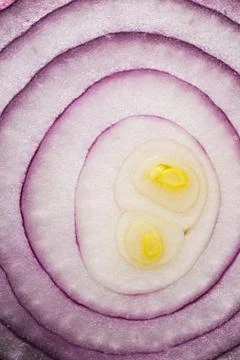 Red onion (background) Stock Photos