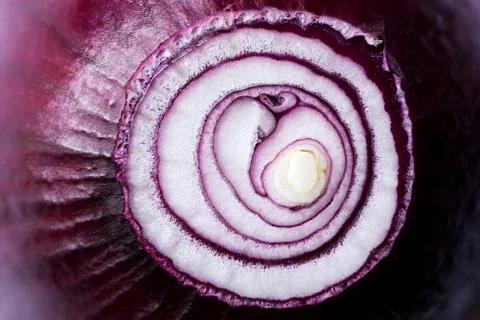 Red onion (background) Stock Photos